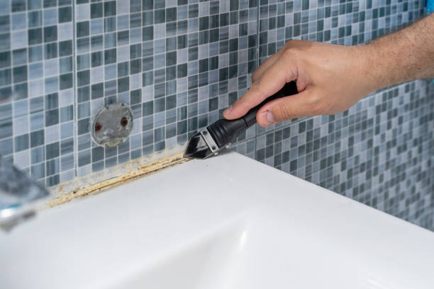 Best Kitchen Mold Remediation in Wilson, WY